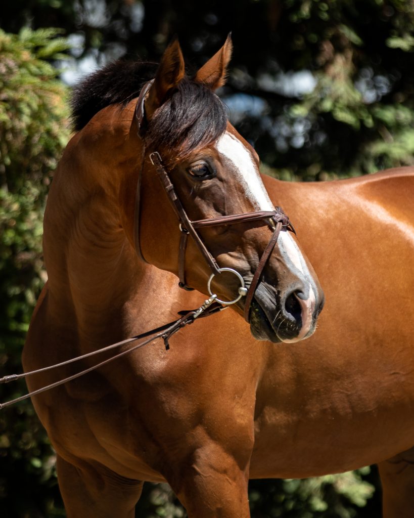 Placement Program Graduate Peacehaven Poses for a Photo at Aftercare Charity Partner Canter